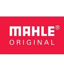 Zuigers Mahle